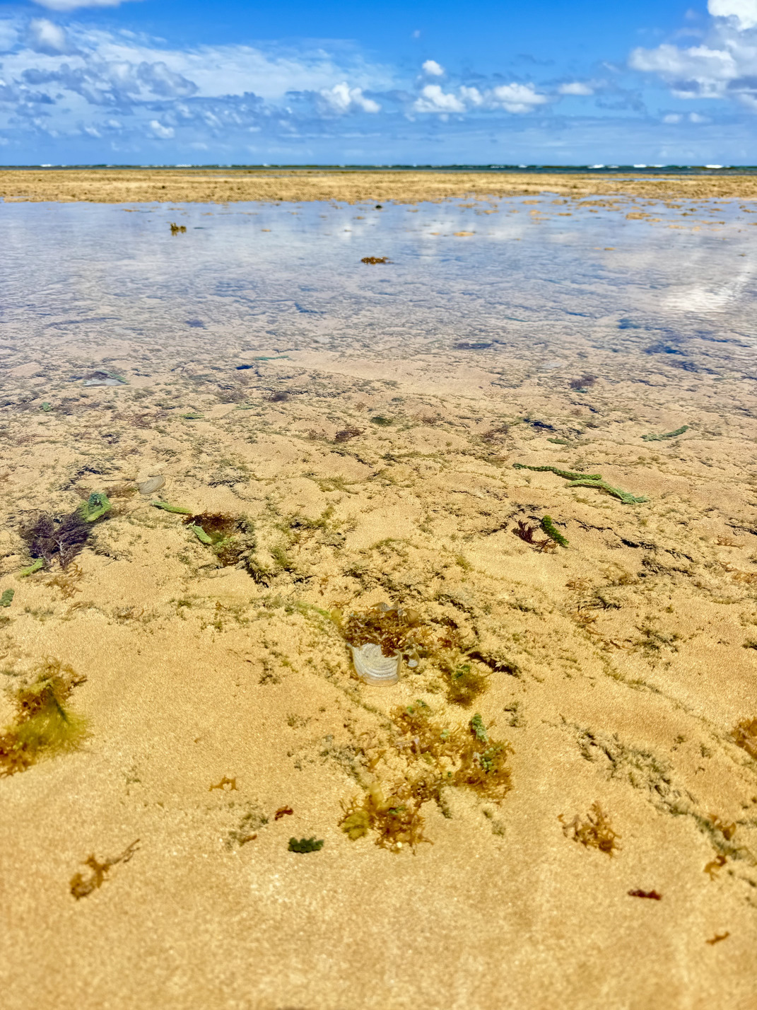 Areia Vermelha